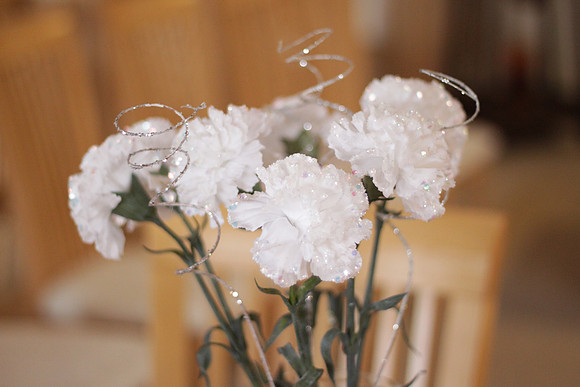 amy_andy_0062