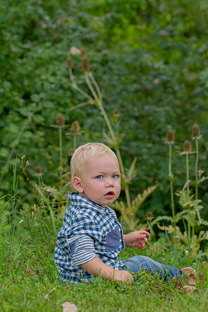 bhostphoto_246