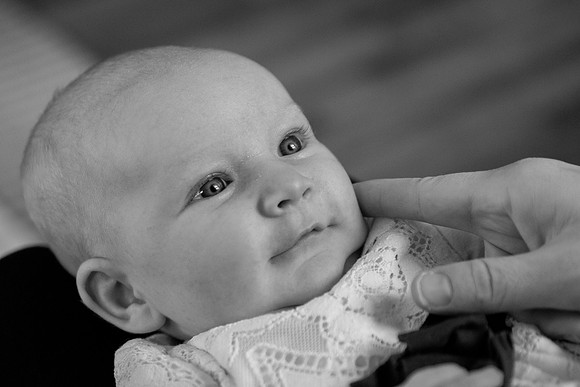bhostphoto_852_bw