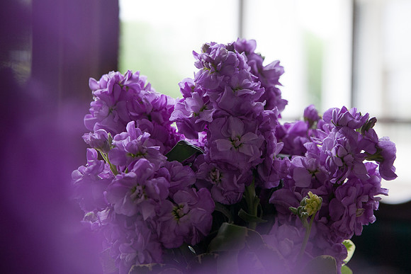bhostphoto_058