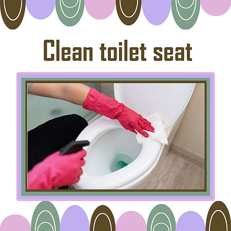 clean toilet seat