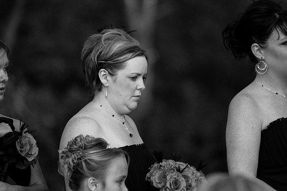 ccSolon_163_bw