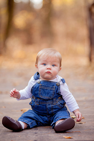 bhostphoto_153