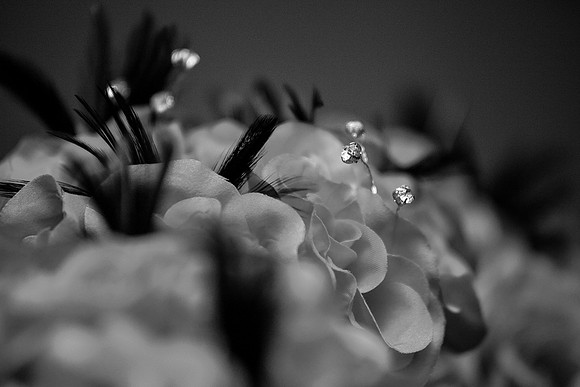 ccSolon_035_bw