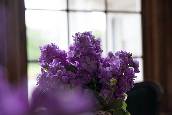 bhostphoto_059