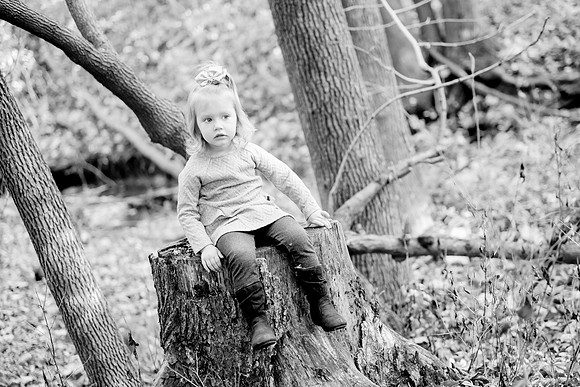 bhostphoto_328_bw
