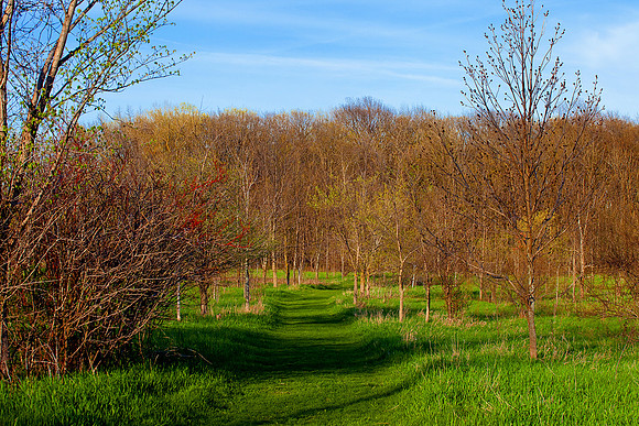 bhostphoto_098