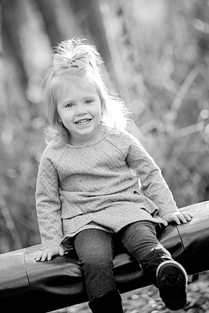 bhostphoto_255_bw
