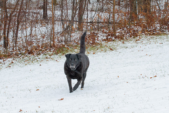 bhostphoto_003