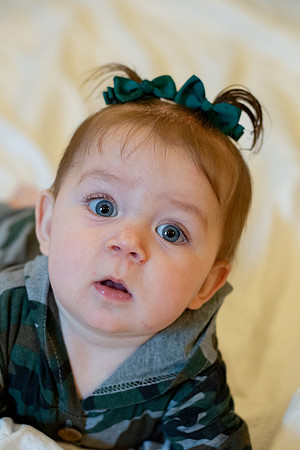 bhostphoto_170