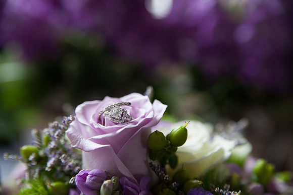 bhostphoto_063