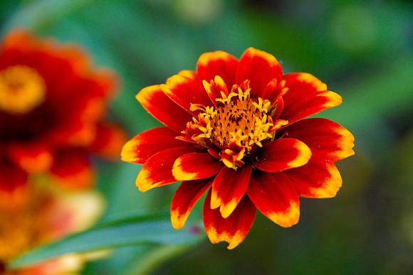 bhostphoto_127